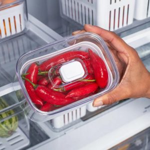 Pote para frutas/salada Ou 650ml